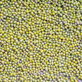 green lentils HPS quality dry green export/lentils